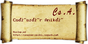 Császár Anikó névjegykártya