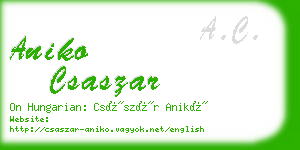 aniko csaszar business card